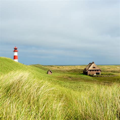 sylt visitor guide